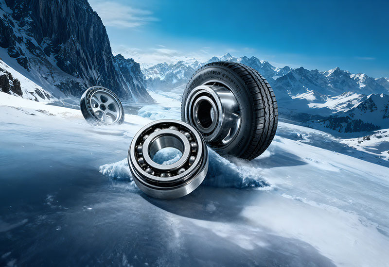 Specialized Bearings